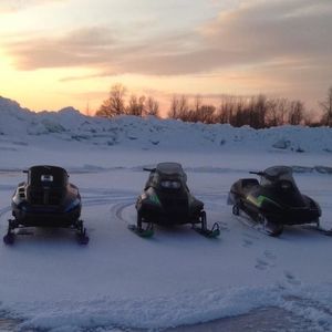 Meet your Posher, Austin